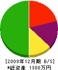 南日本電設・電化 貸借対照表 2009年12月期