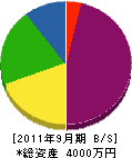 峰沢電機 貸借対照表 2011年9月期