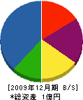 高田建材 貸借対照表 2009年12月期