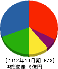 片岡工務店 貸借対照表 2012年10月期