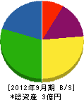 大川工業 貸借対照表 2012年9月期