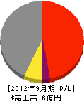 菅原工業 損益計算書 2012年9月期