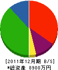 大林 貸借対照表 2011年12月期