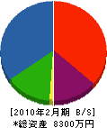 中岡住建 貸借対照表 2010年2月期