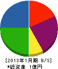 田中産業 貸借対照表 2013年1月期