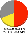 渡辺塗装 損益計算書 2009年10月期