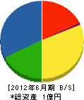 小菅開発 貸借対照表 2012年6月期