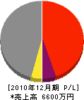 渡辺建設 損益計算書 2010年12月期