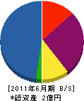 田野井造園 貸借対照表 2011年6月期
