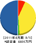 武田電気 貸借対照表 2011年4月期