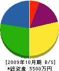小松エアーポートサービス 貸借対照表 2009年10月期