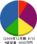 長井建材 貸借対照表 2009年12月期