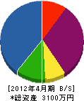 椎名設備工業 貸借対照表 2012年4月期