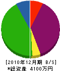 臼井電工 貸借対照表 2010年12月期