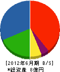 赤松土建 貸借対照表 2012年6月期