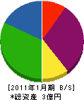 正栄建設 貸借対照表 2011年1月期