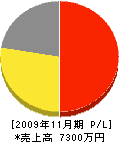 渡辺電機 損益計算書 2009年11月期 渡辺電機 損益計算書 2009年11月期