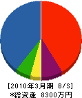 新興建設 貸借対照表 2010年3月期