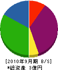 林総事 貸借対照表 2010年9月期