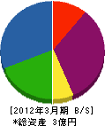 竹島建設 貸借対照表 2012年3月期