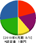 三鷹榛澤組 貸借対照表 2010年6月期