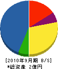 ツヅキ通信特機 貸借対照表 2010年9月期
