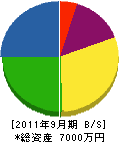 藤田組 貸借対照表 2011年9月期