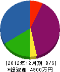 斎藤建設 貸借対照表 2012年12月期