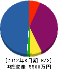 北沢電機 貸借対照表 2012年6月期