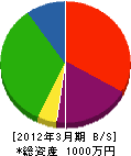 柚中電業 貸借対照表 2012年3月期