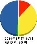 中沢工務店 貸借対照表 2010年6月期
