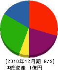 日本電波興業 貸借対照表 2010年12月期