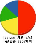 入江硝子店 貸借対照表 2012年7月期
