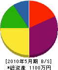 井川設備 貸借対照表 2010年5月期