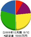 稲川土建 貸借対照表 2009年12月期