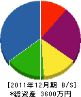 長井建材 貸借対照表 2011年12月期