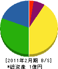 塚田工業 貸借対照表 2011年2月期