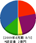 北海道ケミカル 貸借対照表 2009年4月期