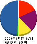 正田建設 貸借対照表 2009年1月期