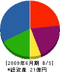 角田電気工業 貸借対照表 2009年6月期