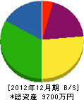 丸武加藤建設工業 貸借対照表 2012年12月期