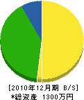 高田塗装 貸借対照表 2010年12月期
