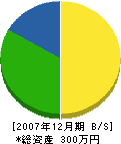 船場電気商会 貸借対照表 2007年12月期 船場電気商会 貸借対照表 2007年12月期