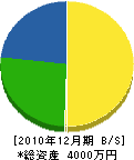 竹田大樹園 貸借対照表 2010年12月期