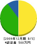 柴田組 貸借対照表 2009年12月期