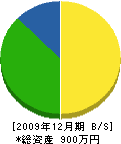 寺川水道ポンプ店 貸借対照表 2009年12月期