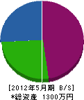 沢村造園 貸借対照表 2012年5月期