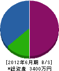 東関東植物園 貸借対照表 2012年6月期