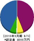 武蔵造園 貸借対照表 2010年9月期