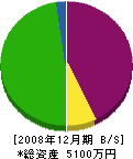 池田建設 貸借対照表 2008年12月期